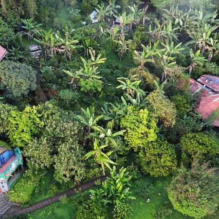 Finca Neblina Del Bosque Esteli Luaran gambar