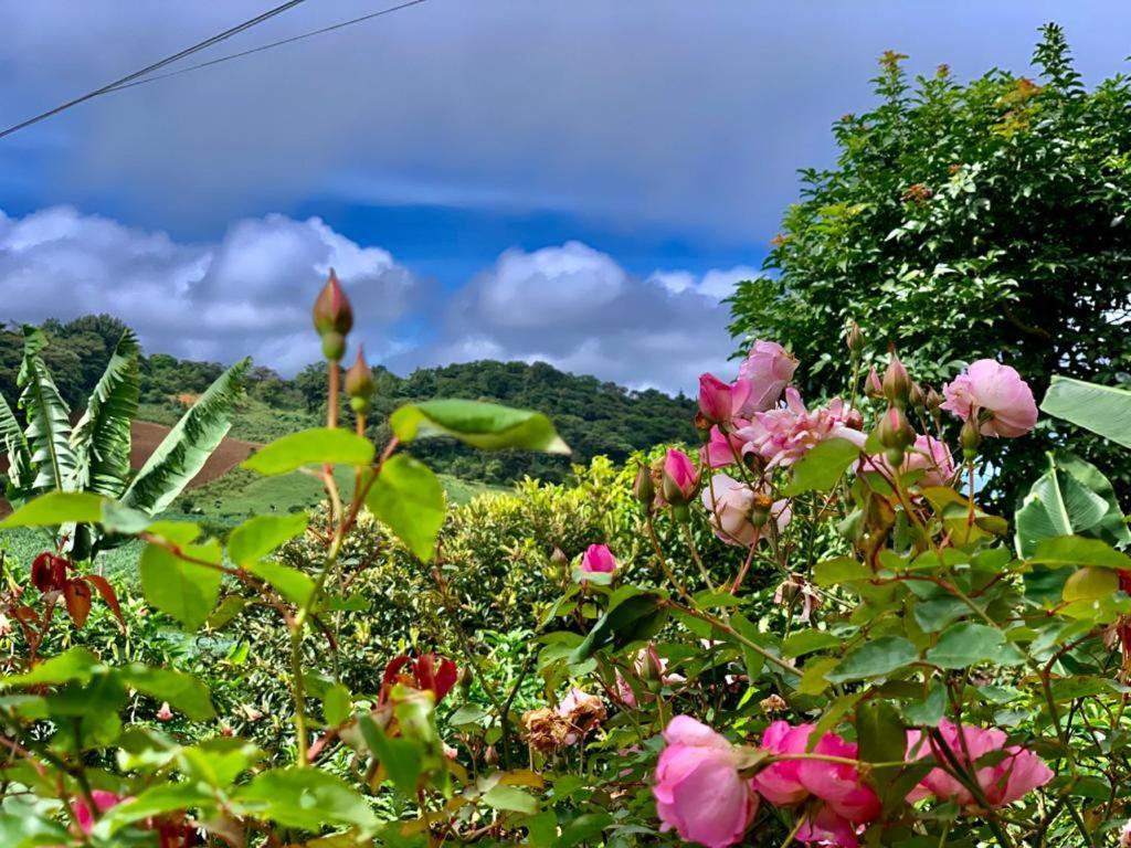 Finca Neblina Del Bosque Esteli Luaran gambar