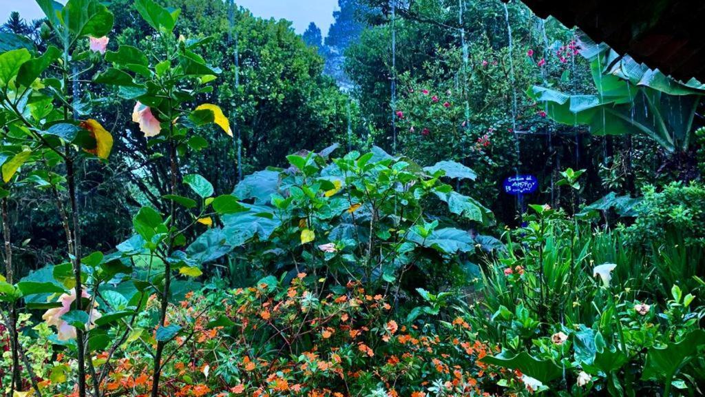 Finca Neblina Del Bosque Esteli Luaran gambar