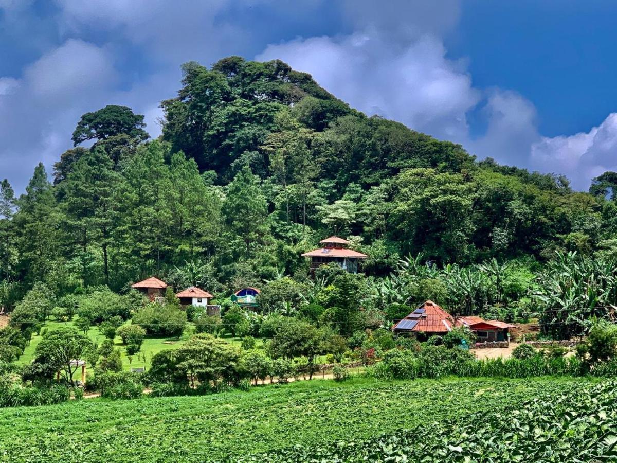 Finca Neblina Del Bosque Esteli Luaran gambar