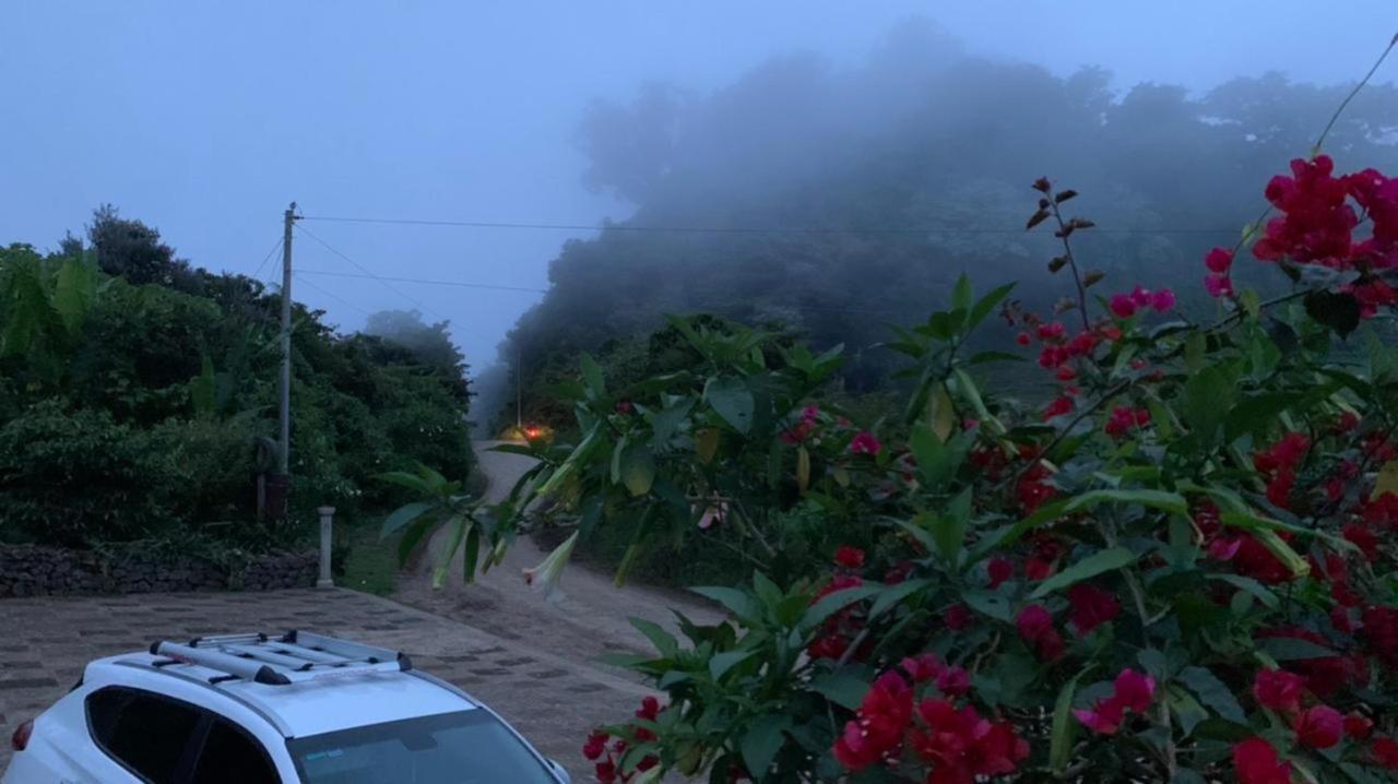 Finca Neblina Del Bosque Esteli Luaran gambar