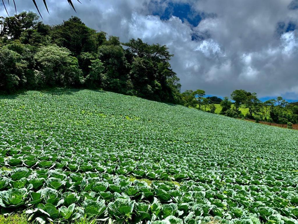 Finca Neblina Del Bosque Esteli Luaran gambar
