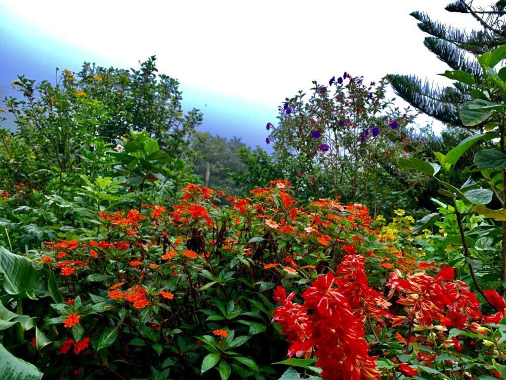 Finca Neblina Del Bosque Esteli Luaran gambar