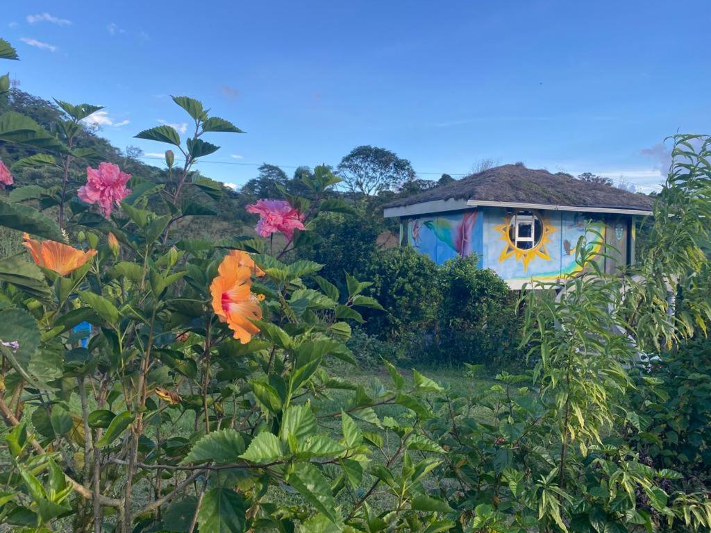 Finca Neblina Del Bosque Esteli Luaran gambar