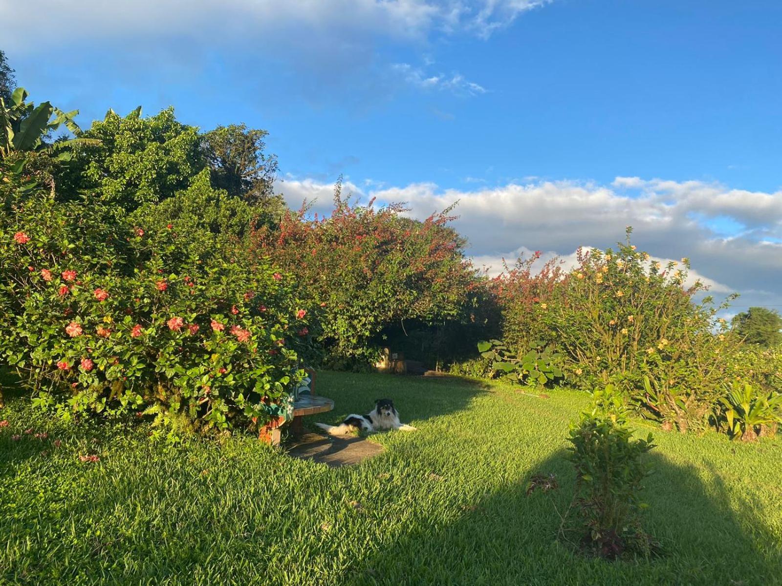 Finca Neblina Del Bosque Esteli Luaran gambar