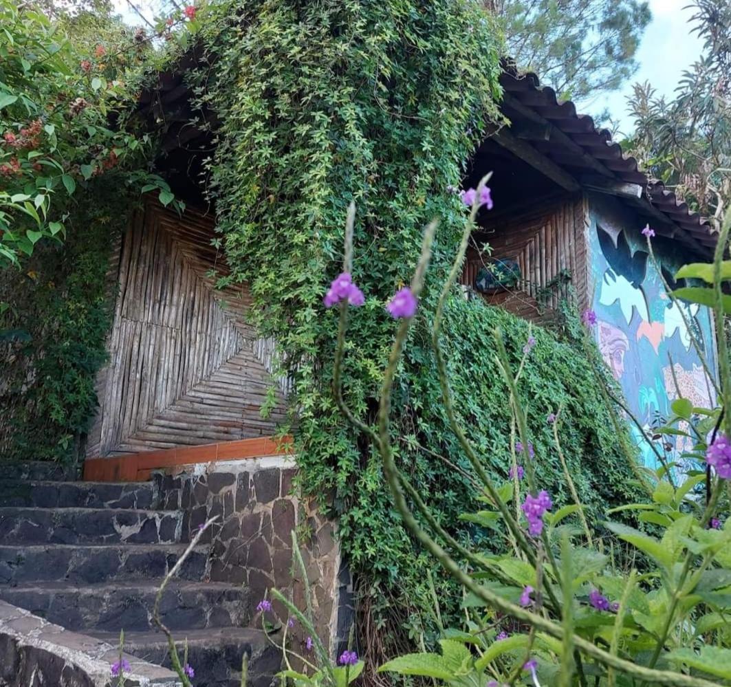 Finca Neblina Del Bosque Esteli Luaran gambar