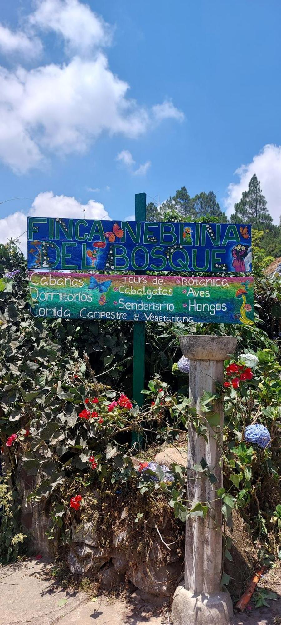 Finca Neblina Del Bosque Esteli Luaran gambar