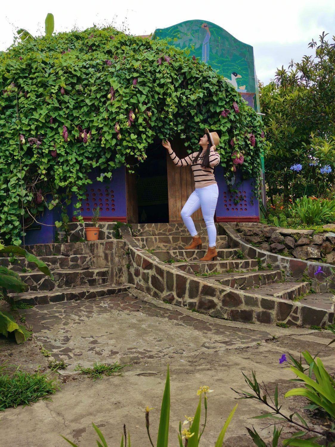 Finca Neblina Del Bosque Esteli Luaran gambar